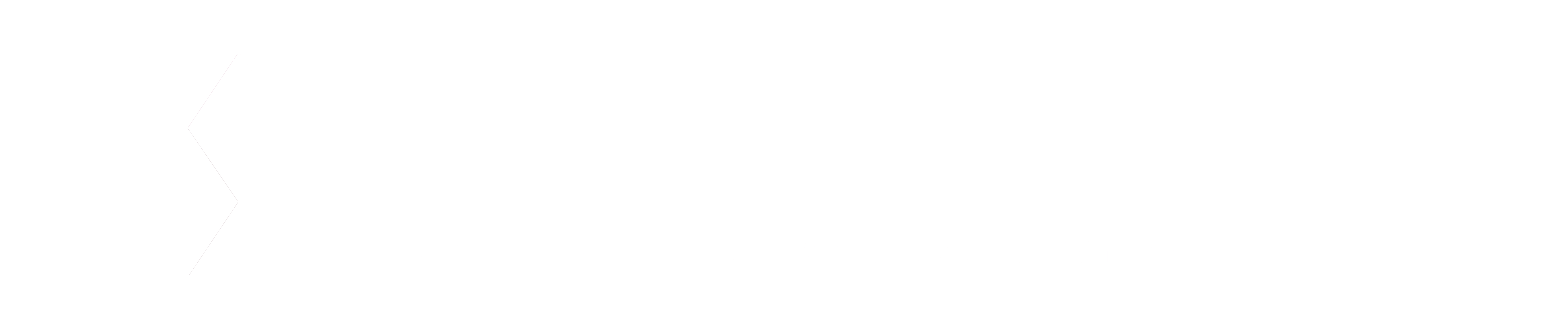 Rinvest LLC